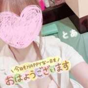とあ 癒します♡ 横浜しこたまクリニック