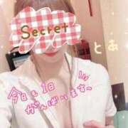 ヒメ日記 2026/06/13 08:53 投稿 とあ 横浜しこたまクリニック