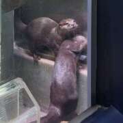 みおん 最近のみおんのこと🩵 ラブストーリー池袋(ユメオト)