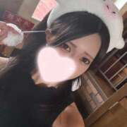 ヒメ日記 2025/12/15 23:05 投稿 うさぎ バニラシュガー久喜店