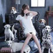 ヒメ日記 2026/02/10 23:18 投稿 新人ホノカ Celeb Garden(セレブガーデン)