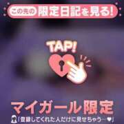 ヒメ日記 2025/12/17 20:16 投稿 ネネ マテリアル