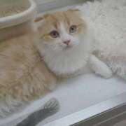 ヒメ日記 2026/02/08 13:19 投稿 かのん SOAPLAND COSPA SAPPORO