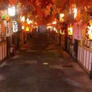 ヒメ日記 2026/02/19 13:59 投稿 かのん SOAPLAND COSPA SAPPORO