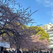 ヒメ日記 2026/03/27 08:19 投稿 かのん SOAPLAND COSPA SAPPORO