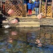 ヒメ日記 2026/03/29 14:29 投稿 かのん SOAPLAND COSPA SAPPORO