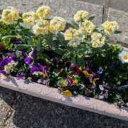 ヒメ日記 2026/02/13 08:01 投稿 りお アリスカフェ