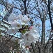 ヒメ日記 2026/03/01 08:00 投稿 りお アリスカフェ