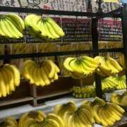 ヒメ日記 2026/03/14 14:59 投稿 りお アリスカフェ