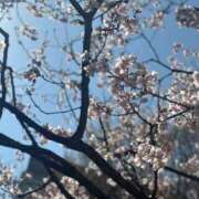 ヒメ日記 2026/03/22 07:16 投稿 りお アリスカフェ