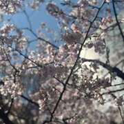 ヒメ日記 2026/03/24 07:19 投稿 りお アリスカフェ