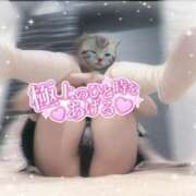 ヒメ日記 2026/04/13 21:47 投稿 りお アリスカフェ