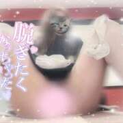 ヒメ日記 2026/07/10 07:36 投稿 りお アリスカフェ