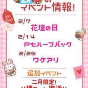 ヒメ日記 2026/02/03 16:07 投稿 はなび 横浜人妻花壇本店