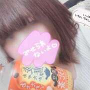 ヒメ日記 2026/02/25 08:19 投稿 はなび 横浜人妻花壇本店