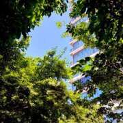 はなび おはよ〜‼️ 横浜人妻花壇本店