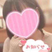 ヒメ日記 2026/02/12 12:05 投稿 みさ One More 奥様 小岩店