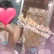 ヒメ日記 2026/02/20 16:05 投稿 みさ One More 奥様 小岩店