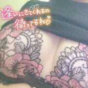ヒメ日記 2026/09/08 22:45 投稿 みさ One More 奥様 小岩店