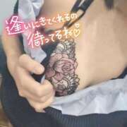 ヒメ日記 2026/10/11 21:35 投稿 みさ One More 奥様 小岩店