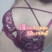 ヒメ日記 2026/10/14 19:08 投稿 みさ One More 奥様 小岩店
