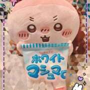 ヒメ日記 2026/02/24 23:44 投稿 かなめ 一宮稲沢小牧ちゃんこ