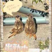 ヒメ日記 2026/02/26 14:44 投稿 かなめ 一宮稲沢小牧ちゃんこ