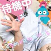 ヒメ日記 2026/02/26 18:44 投稿 かなめ 一宮稲沢小牧ちゃんこ