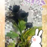 ヒメ日記 2026/02/27 20:44 投稿 かなめ 一宮稲沢小牧ちゃんこ