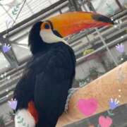 ヒメ日記 2026/02/28 20:34 投稿 かなめ 一宮稲沢小牧ちゃんこ