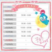 かなめ ☆出勤予定☆ 一宮稲沢小牧ちゃんこ