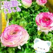 ヒメ日記 2026/03/07 19:54 投稿 かなめ 一宮稲沢小牧ちゃんこ