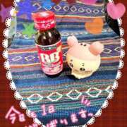 ヒメ日記 2026/03/14 13:04 投稿 かなめ 一宮稲沢小牧ちゃんこ