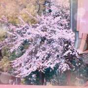 ヒメ日記 2026/03/25 12:54 投稿 かなめ 一宮稲沢小牧ちゃんこ