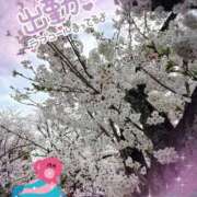 ヒメ日記 2026/03/28 19:40 投稿 かなめ 一宮稲沢小牧ちゃんこ