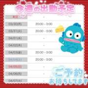 ヒメ日記 2026/03/30 12:54 投稿 かなめ 一宮稲沢小牧ちゃんこ