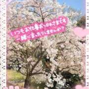 ヒメ日記 2026/03/31 20:50 投稿 かなめ 一宮稲沢小牧ちゃんこ