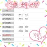 かなめ ☆出勤予定☆ 一宮稲沢小牧ちゃんこ