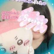 ヒメ日記 2026/04/14 00:04 投稿 かなめ 一宮稲沢小牧ちゃんこ