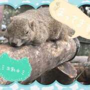 ヒメ日記 2026/05/12 21:14 投稿 かなめ 一宮稲沢小牧ちゃんこ