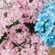 ヒメ日記 2026/05/14 22:31 投稿 かなめ 一宮稲沢小牧ちゃんこ