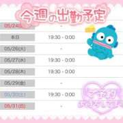 ヒメ日記 2026/05/25 13:05 投稿 かなめ 一宮稲沢小牧ちゃんこ