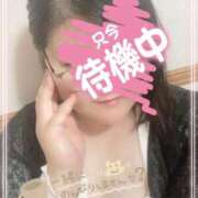 ヒメ日記 2026/05/28 22:34 投稿 かなめ 一宮稲沢小牧ちゃんこ