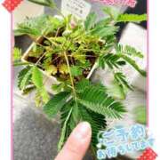 ヒメ日記 2026/06/22 00:24 投稿 かなめ 一宮稲沢小牧ちゃんこ