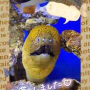 ヒメ日記 2026/06/24 20:24 投稿 かなめ 一宮稲沢小牧ちゃんこ