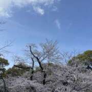 ヒメ日記 2026/03/30 19:15 投稿 のの 千葉人妻セレブリティ（ユメオト）