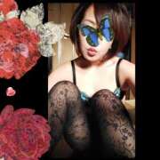 ヒメ日記 2026/04/07 14:48 投稿 しの 妻天 日本橋店