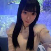 ヒメ日記 2026/02/18 12:39 投稿 うた ウルトラドリーム