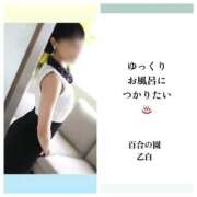 ヒメ日記 2026/01/12 15:06 投稿 乙白(おとしろ) 人妻出逢い会 百合の園 品川店