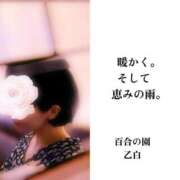 乙白(おとしろ) 窓から見た雨は、とても美しく見えました。 人妻出逢い会 百合の園 品川店